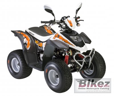 2010 Keeway ATV 50 photo